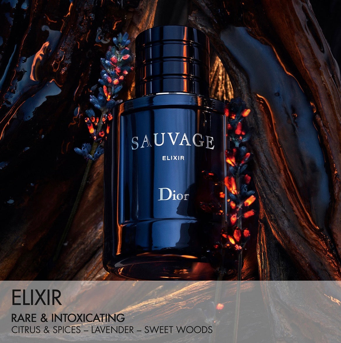 Dior Sauvage Elixir