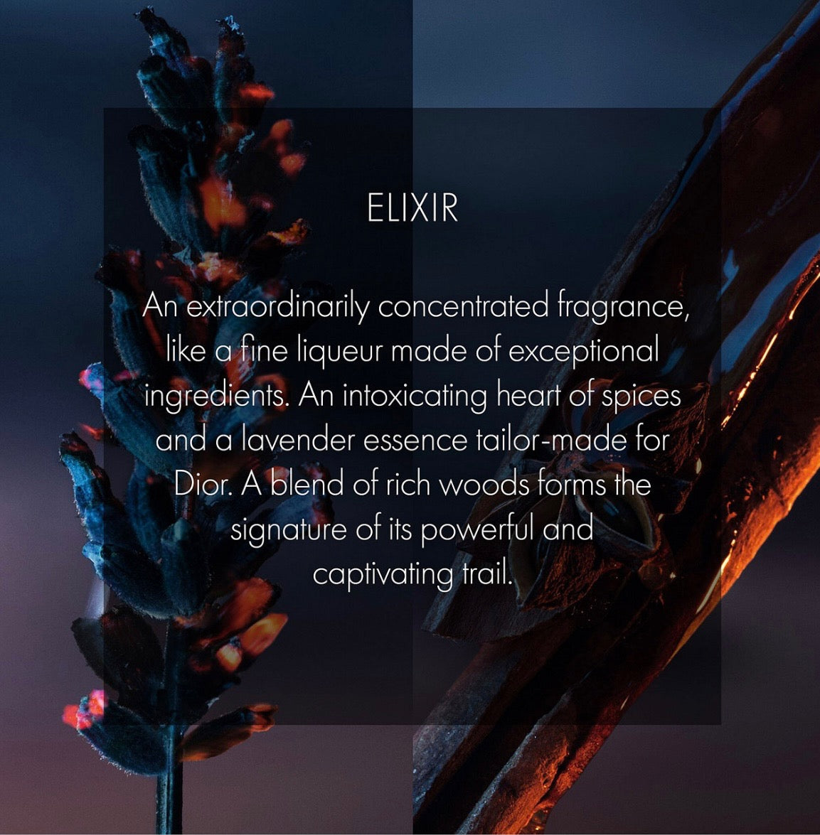 Dior Sauvage Elixir