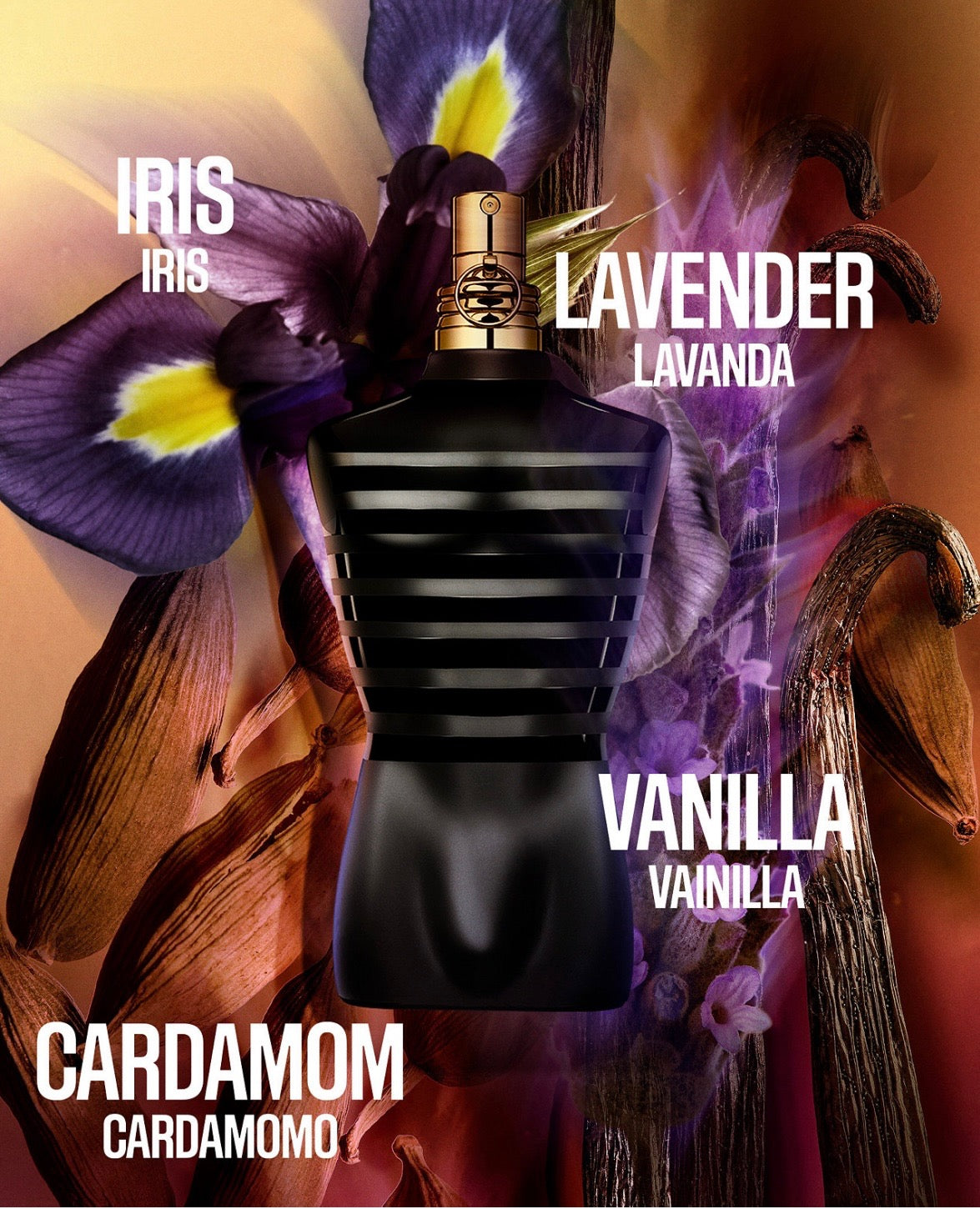 Jean Paul Gaultier Male Le Parfum